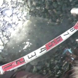 ヒラメが釣れました！